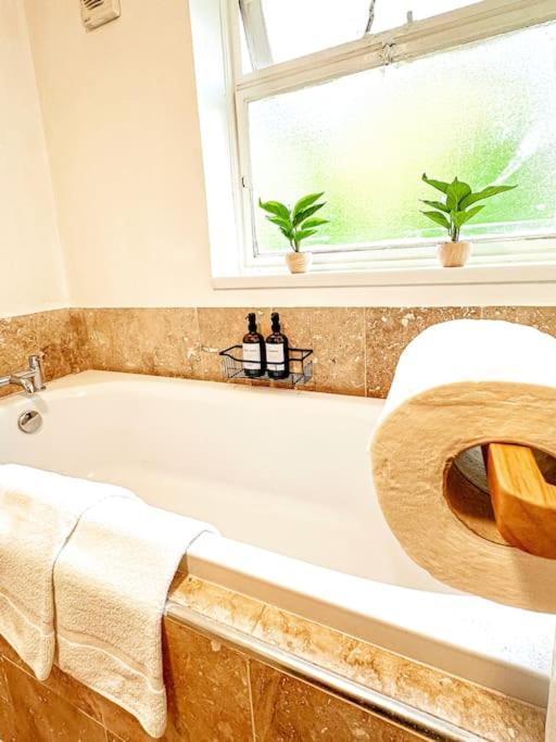 Oasis Split Level Flat In Zone 1 * Londra